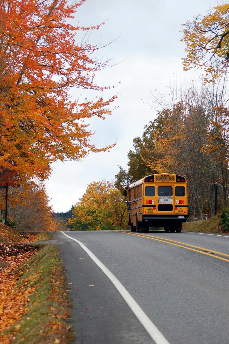 school bus photo1 school bus leaves